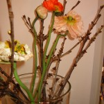 IMG_3560